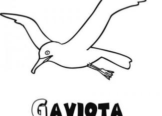 Dibujo infantil de una gaviota para imprimir y colorear con niños