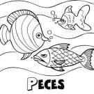 Peces nadando