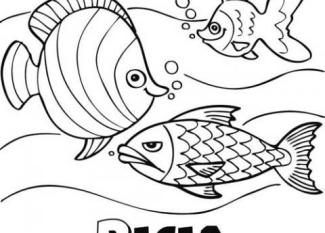 Peces nadando
