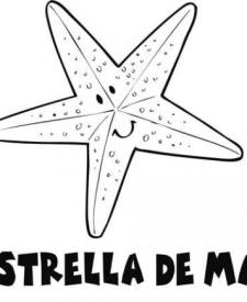 Dibujo para colorear de una estrella de mar. Dibujos de animales