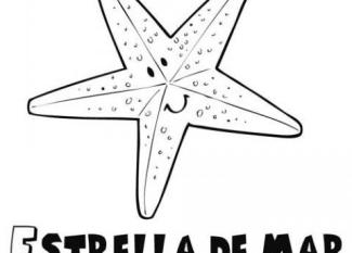 Dibujo para colorear de una estrella de mar. Dibujos de animales