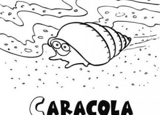 Caracola