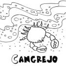 Cangrejo en el agua