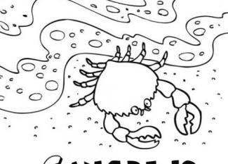 Cangrejo en el agua