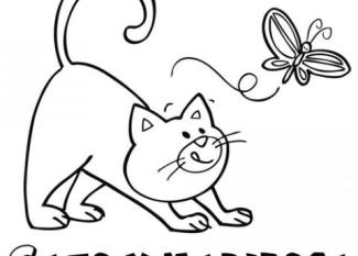 Gato persiguiendo a mariposa