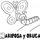 Dibujo de una mariposa y oruga para colorear. Dibujos para niños