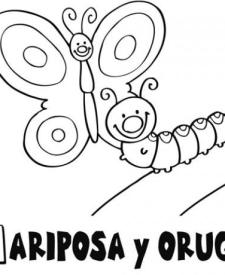 Dibujo de una mariposa y oruga para colorear. Dibujos para niños