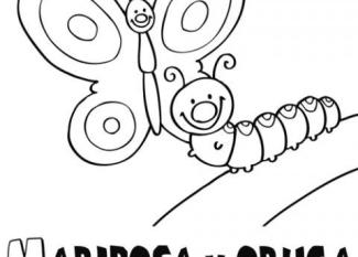 Dibujo de una mariposa y oruga para colorear. Dibujos para niños