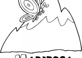 Mariposa volando en la montaña
