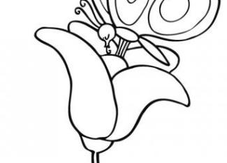 Dibujos infantiles para colorear de una mariposa sobre una flor