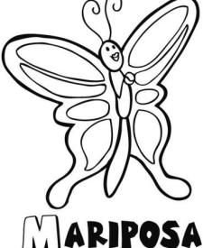 Dibujo de mariposa con las alas extendidas. Dibujos de animales