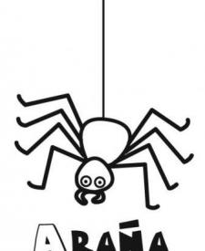 Dibujo para imprimir y colorear de una araña de Halloween