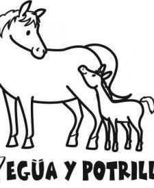 Yegüa y potrillo