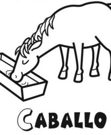 Dibujos de un caballo bebiendo agua para colorear con los niños