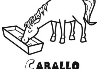 Dibujos de un caballo bebiendo agua para colorear con los niños