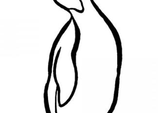 Pingüino