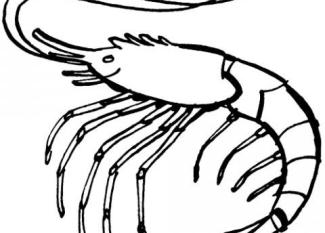 Gamba