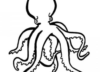Dibujo infantil de pulpo para colorear