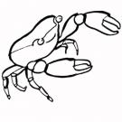 Dibujo infantil de cangrejo para colorear