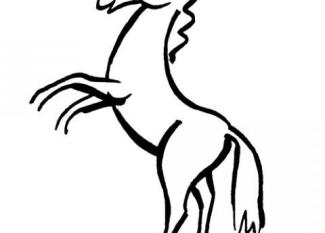Caballo sobre dos patas