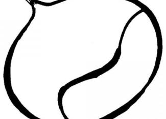 Castaña para colorear con los niños. Dibujos de alimentos para pintar.