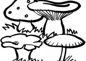 Dibujo de setas para colorear. Imágenes de alimentos