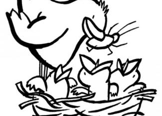 Dibujo para imprimir y colorear con los niños de un pájaro con sus crías