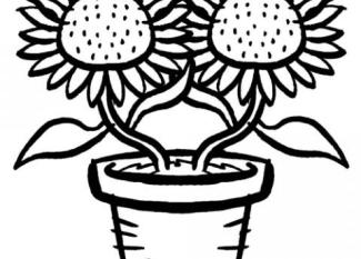 Dibujos de girasoles para colorear por los niños. Imágenes de flores