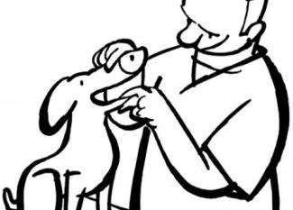 Veterinario