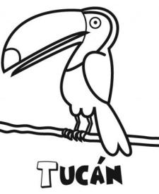 Tucán