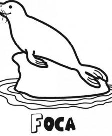 Dibujo de una foca para colorear. Imágenes gratis de animales