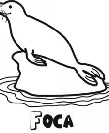 Dibujo de una foca para colorear. Imágenes gratis de animales