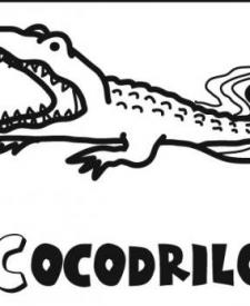 Imágenes infantiles de cocodrilo para colorear