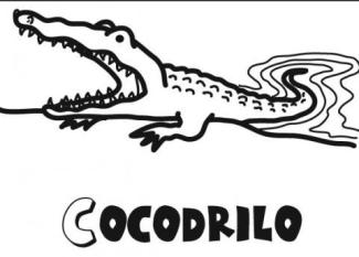 Imágenes infantiles de cocodrilo para colorear