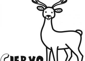 Dibujos de ciervo para imprimir y colorear