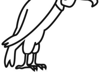 Dibujos infantiles de buitre para colorear por los niños