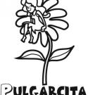 Pulgarcita