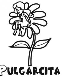 Pulgarcita