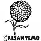 Crisantemo