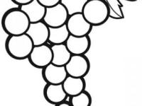 Racimo De Uvas Dibujalia Dibujos Para Colorear Elementos Y