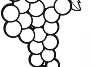 Dibujos de uvas para imprimir y pintar con niños