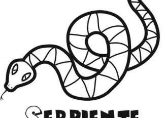 Dibujo de una serpiente, imágenes de animales para colorear