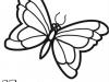Dibujo infantil de mariposa para colorear. Dibujos de animales para niños