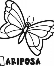 Dibujo infantil de mariposa para colorear. Dibujos de animales para niños