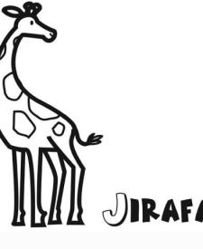 Dibujo infantil de jirafa para colorear. Dibujos de animales para niños