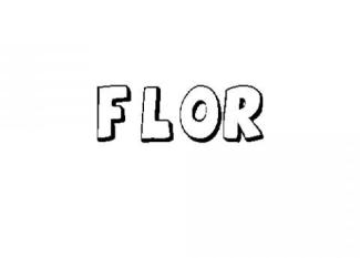 Palabra Flor