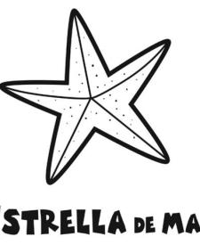 Estrella de Mar