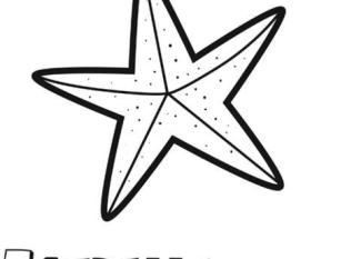 Estrella de Mar