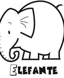 Dibujo de un elefante para colorear. Dibujos de animales para niños