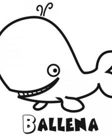 Dibujos de una ballena para colorear. Dibujos de animales para niños